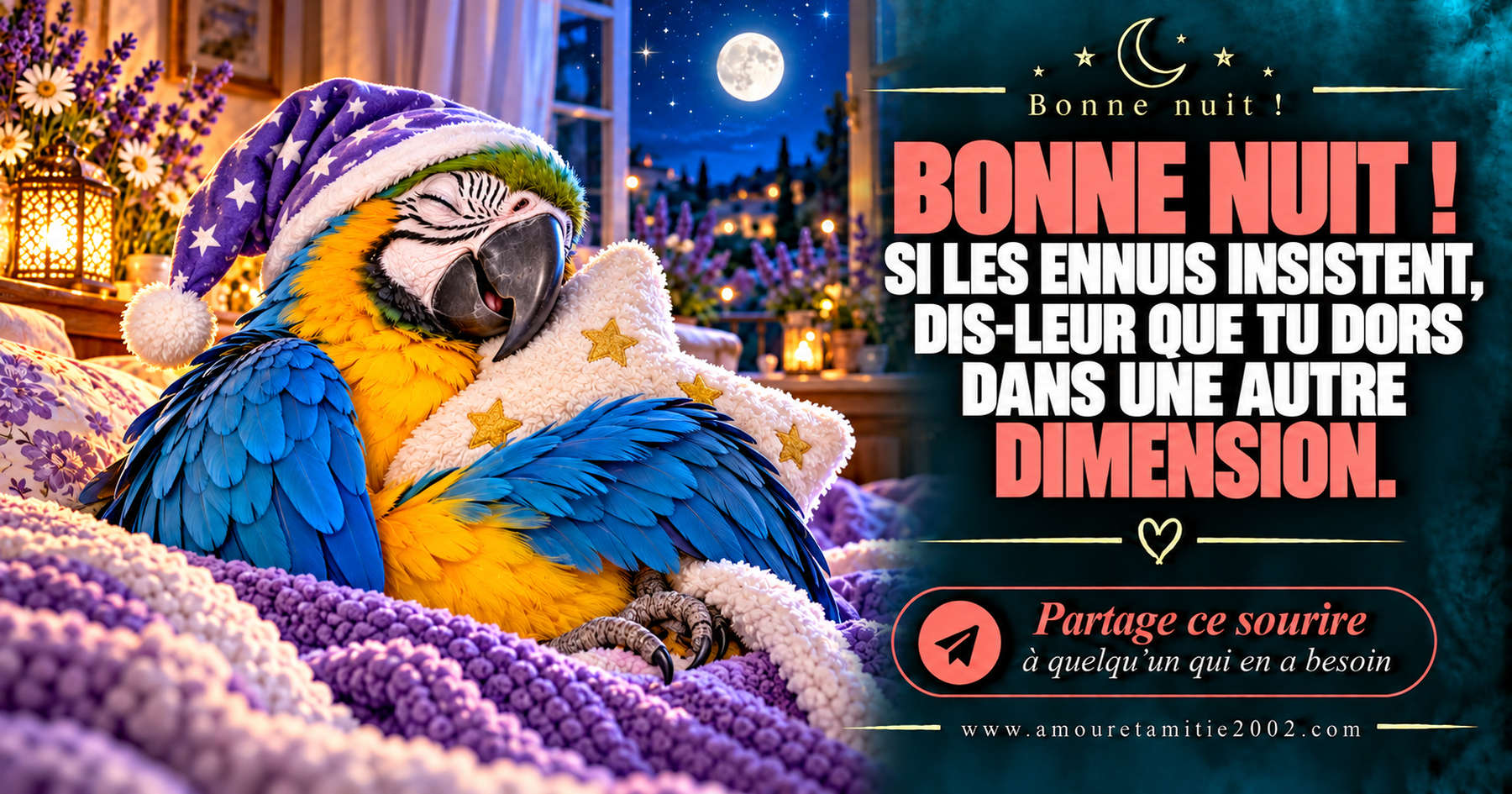 Bonne nuit ! Si les ennuis insistent, dis-leur que tu dors dans une autre dimension.