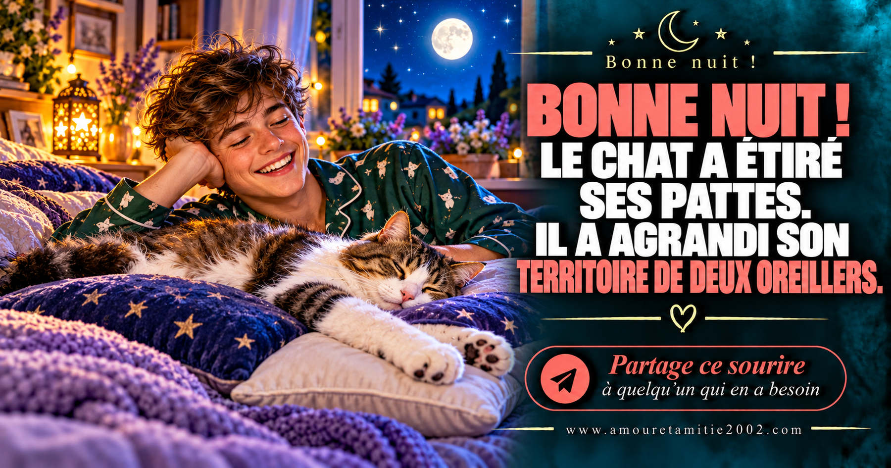 Bonne nuit ! Le chat a étiré ses pattes. Il a agrandi son territoire de deux oreillers.