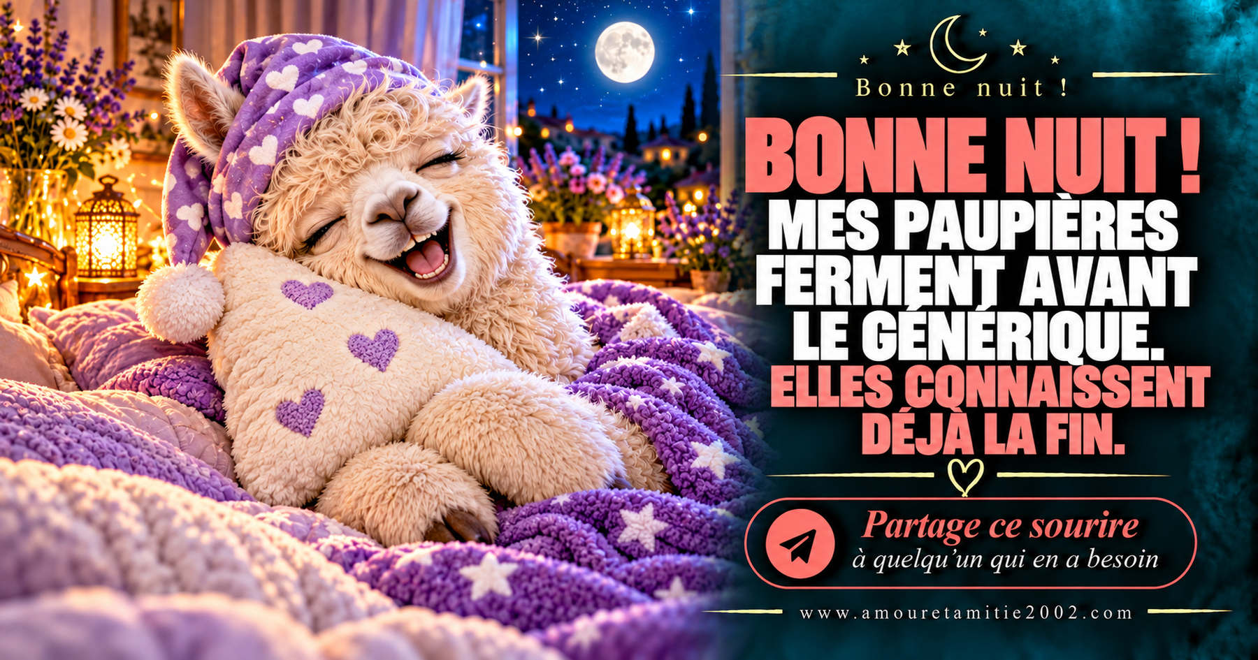 Bonne nuit ! Mes paupières ferment avant le générique. Elles connaissent déjà la fin.
