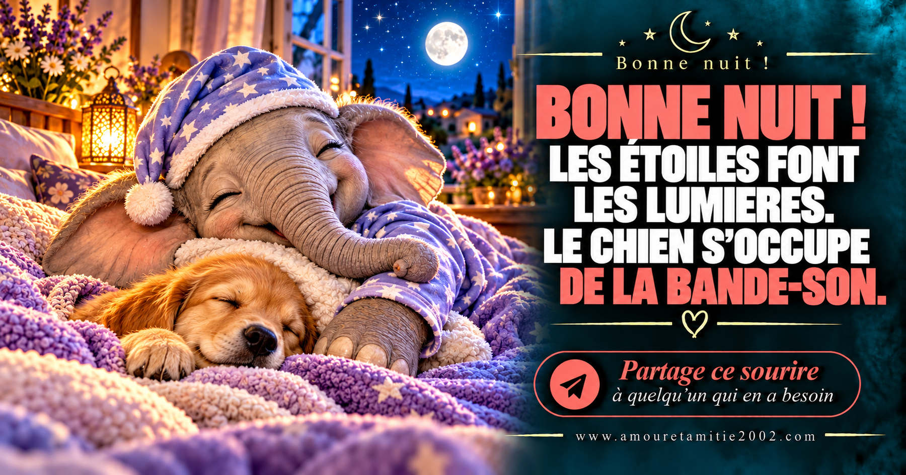 Bonne nuit ! Les étoiles font les lumières. Le chien s’occupe de la bande-son.