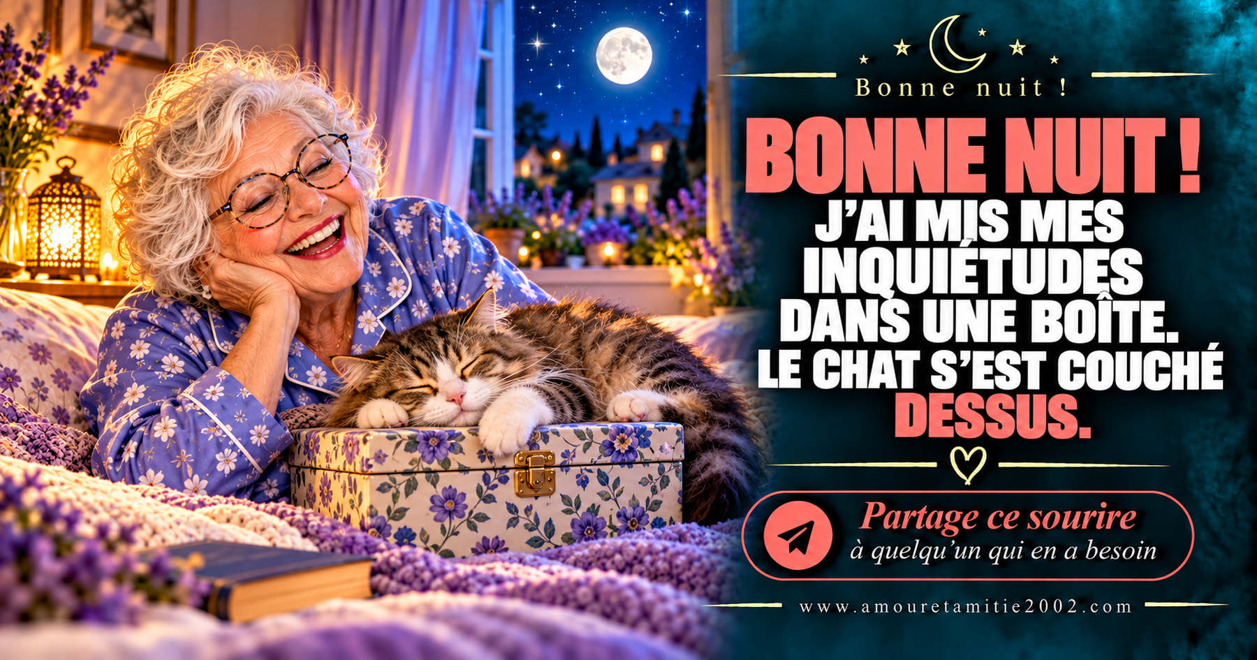Bonne nuit ! J’ai mis mes inquiétudes dans une boîte. Le chat s’est couché dessus.