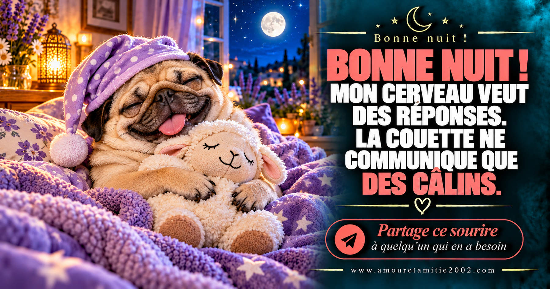 Bonne nuit ! Mon cerveau veut des réponses. La couette ne communique que des câlins.