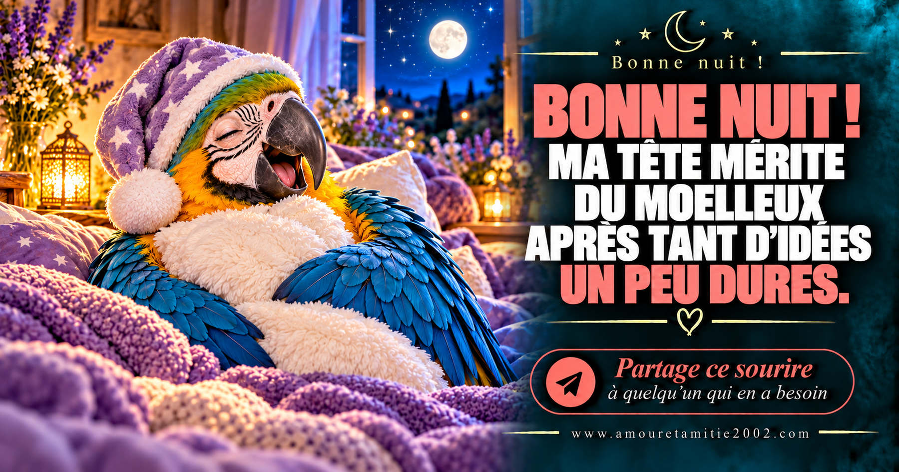 Bonne nuit ! Ma tête mérite du moelleux après tant d’idées un peu dures.