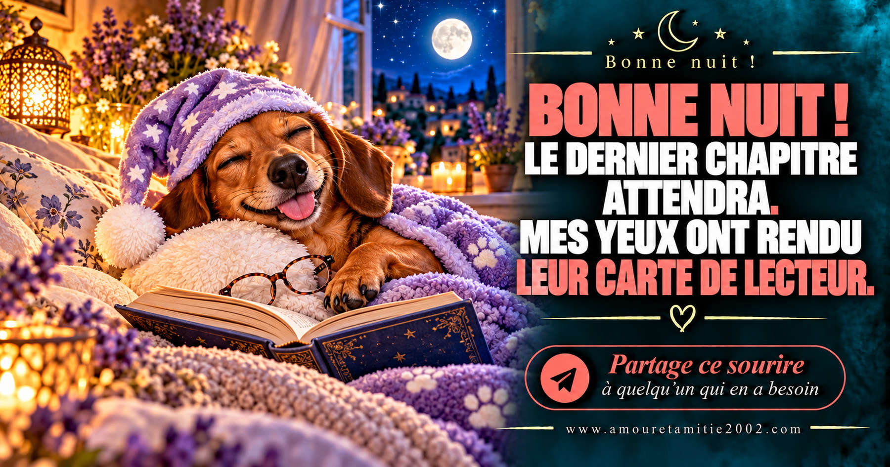 Bonne nuit ! Le dernier chapitre attendra. Mes yeux ont rendu leur carte de lecteur.