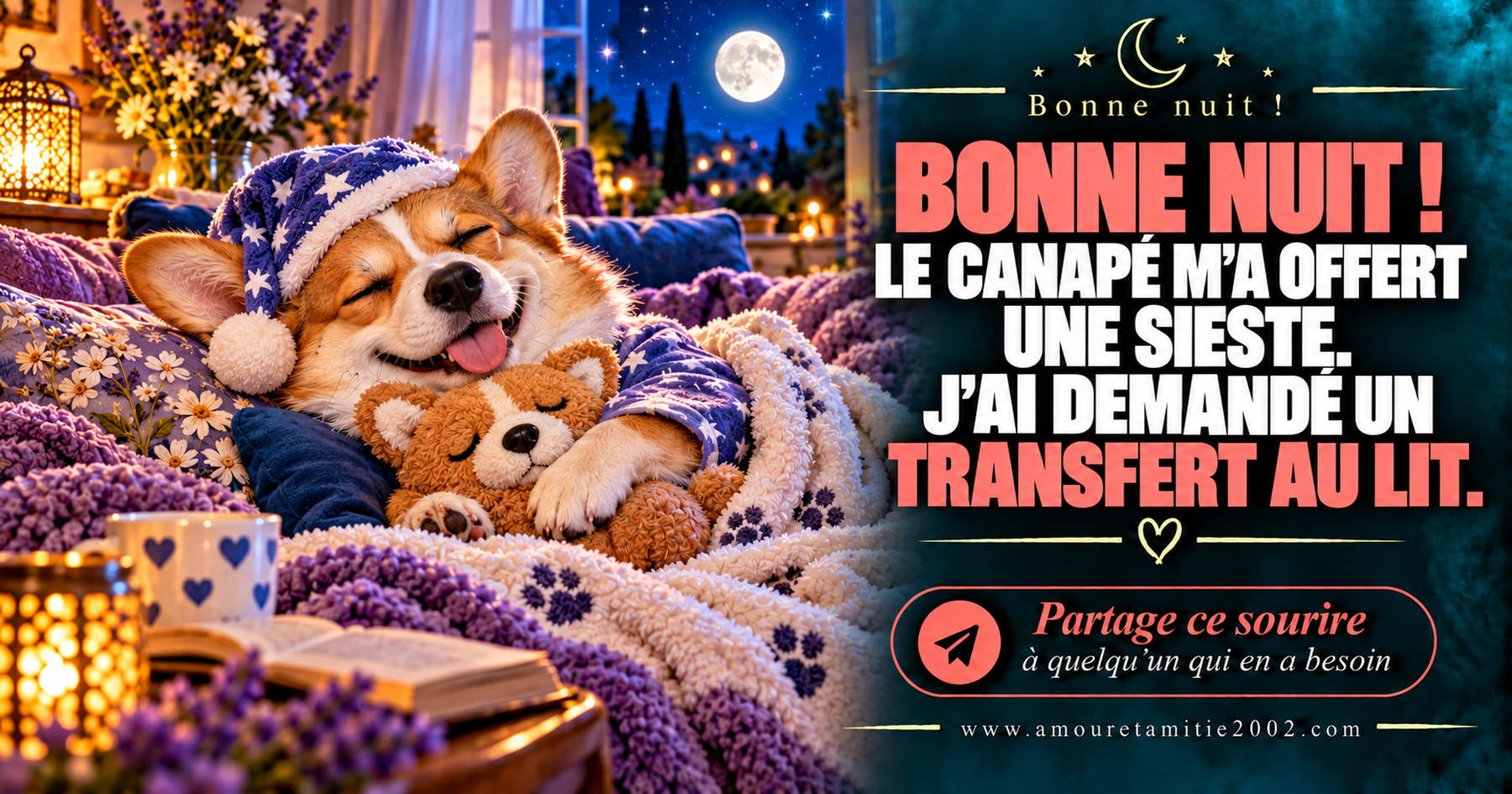 Bonne nuit ! Le canapé m’a offert une sieste. J’ai demandé un transfert au lit.