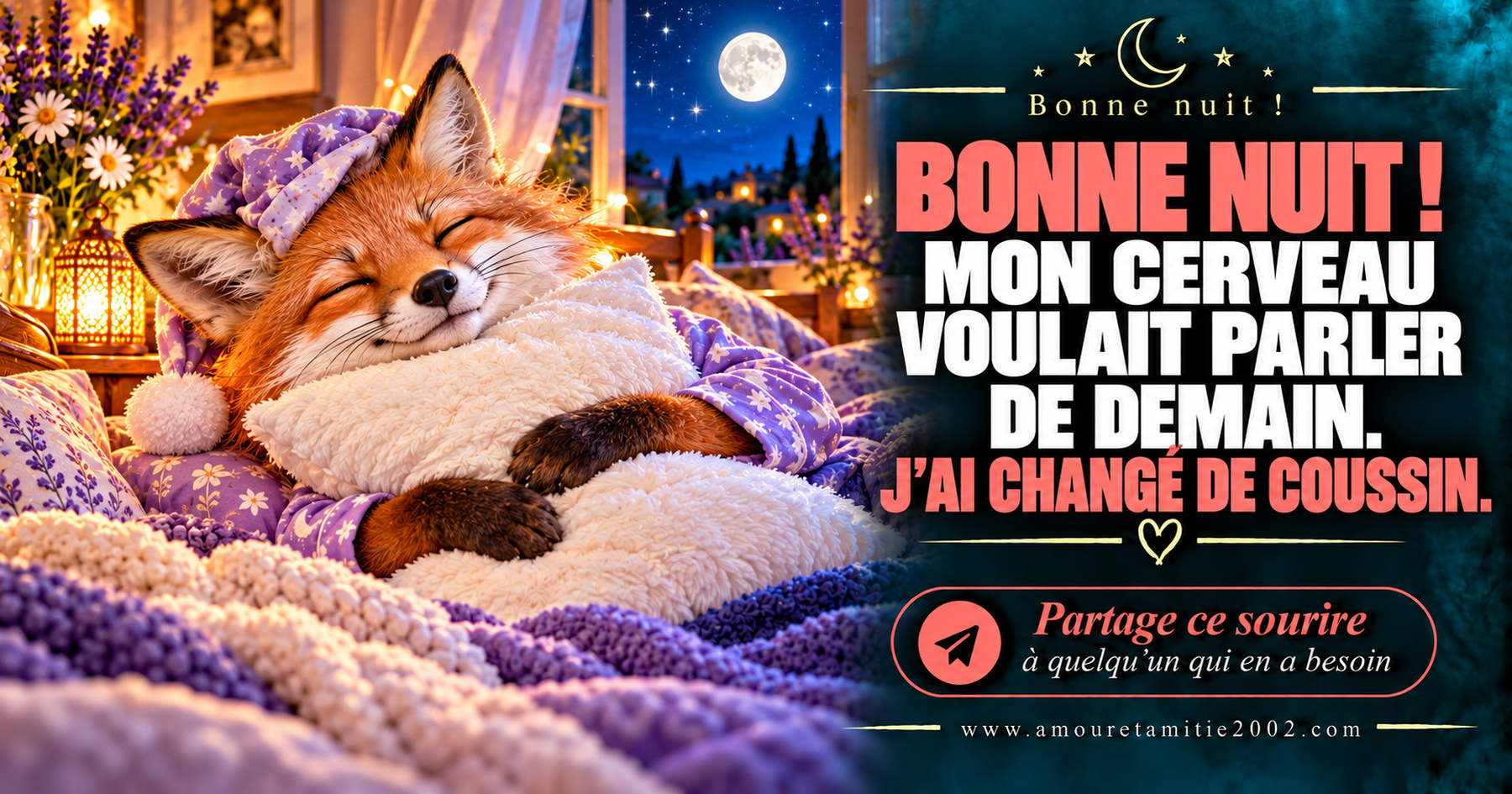 Bonne nuit ! Mon cerveau voulait parler de demain. J’ai changé de coussin.