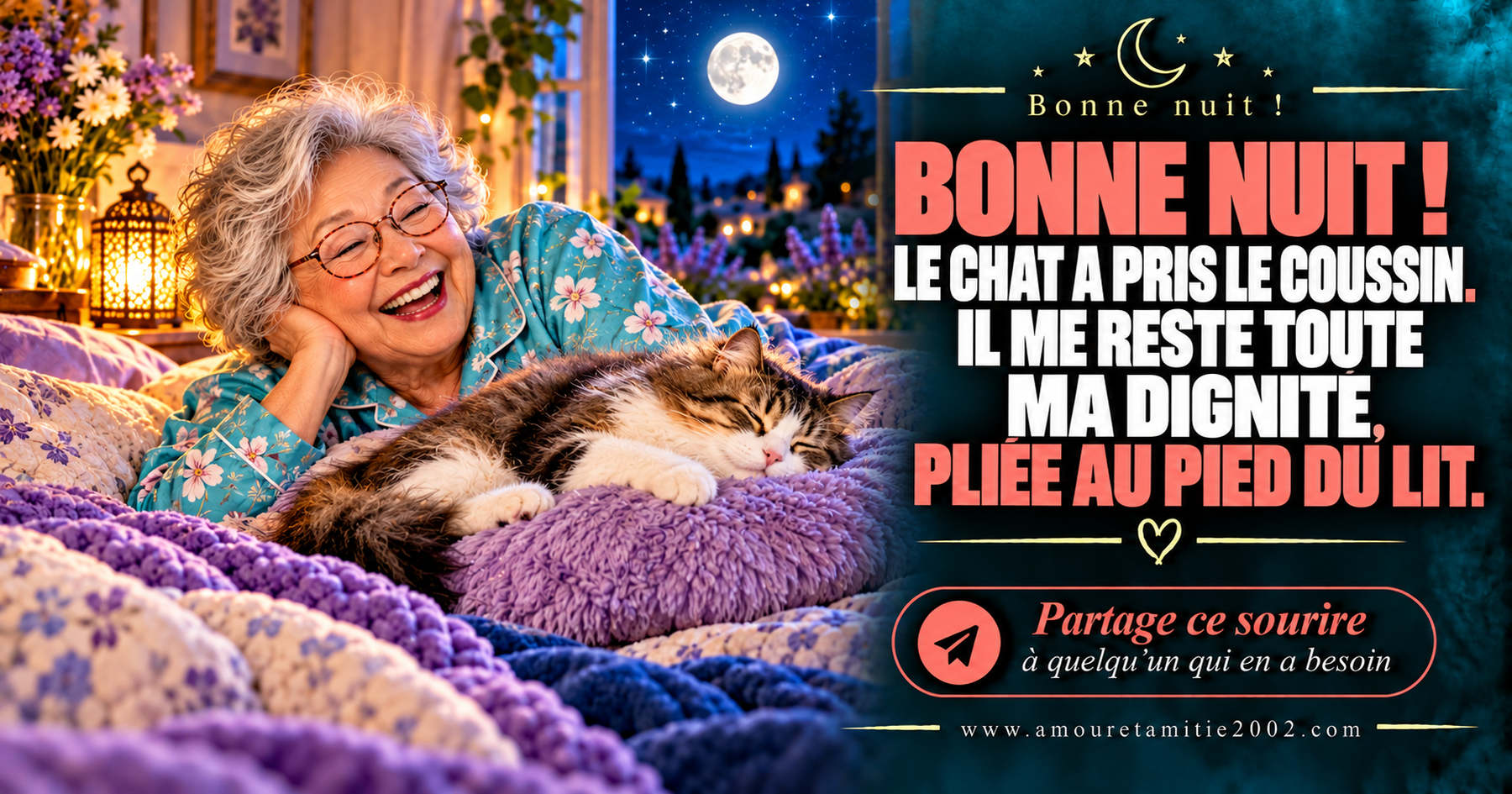Bonne nuit ! Le chat a pris le coussin. Il me reste toute ma dignité, pliée au pied du lit.