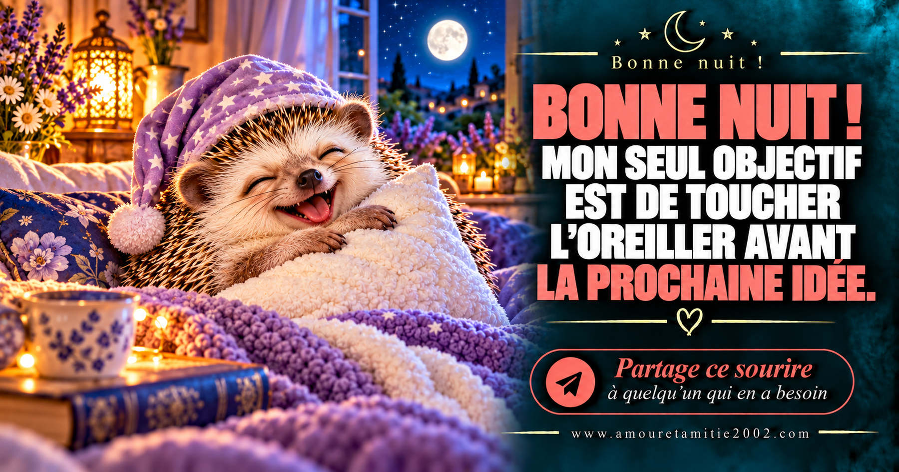 Bonne nuit ! Mon seul objectif est de toucher l’oreiller avant la prochaine idée.