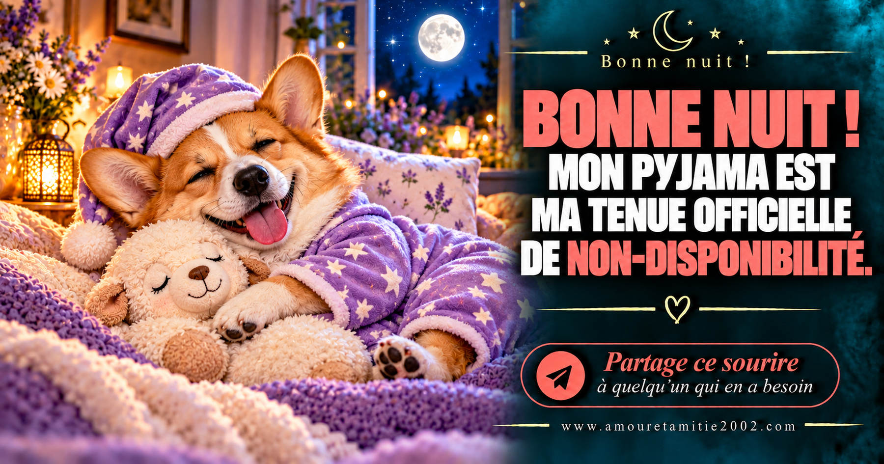 Bonne nuit ! Mon pyjama est ma tenue officielle de non-disponibilité.