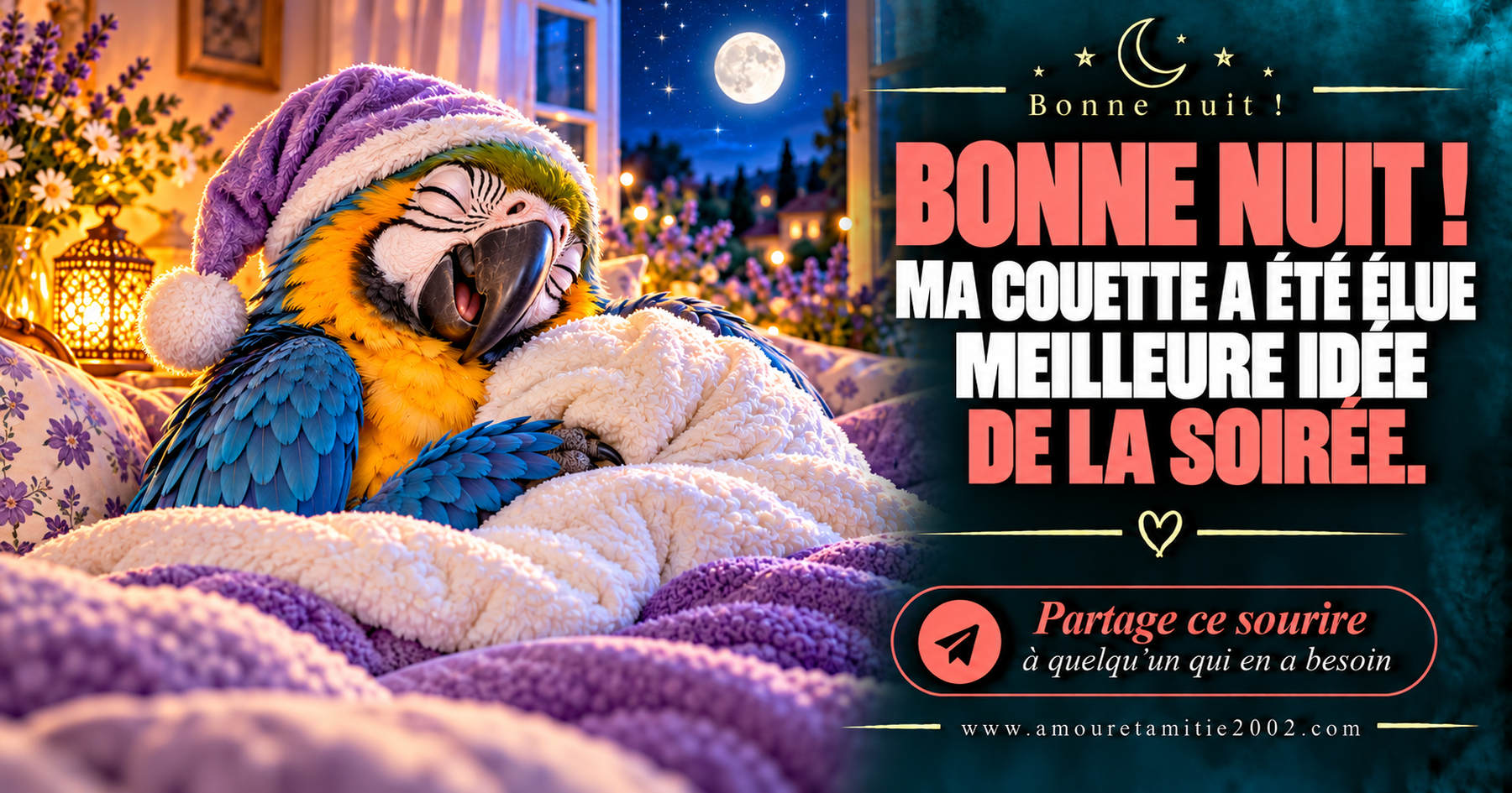 Bonne nuit ! Ma couette a été élue meilleure idée de la soirée.