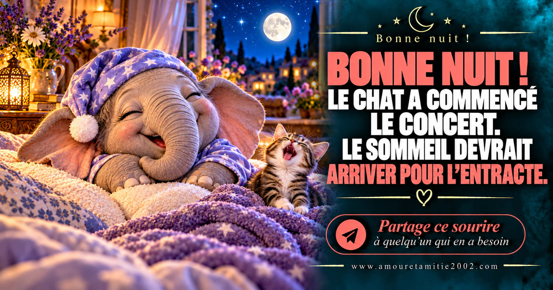 Bonne nuit ! Le chat a commencé le concert. Le sommeil devrait arriver pour l’entracte.