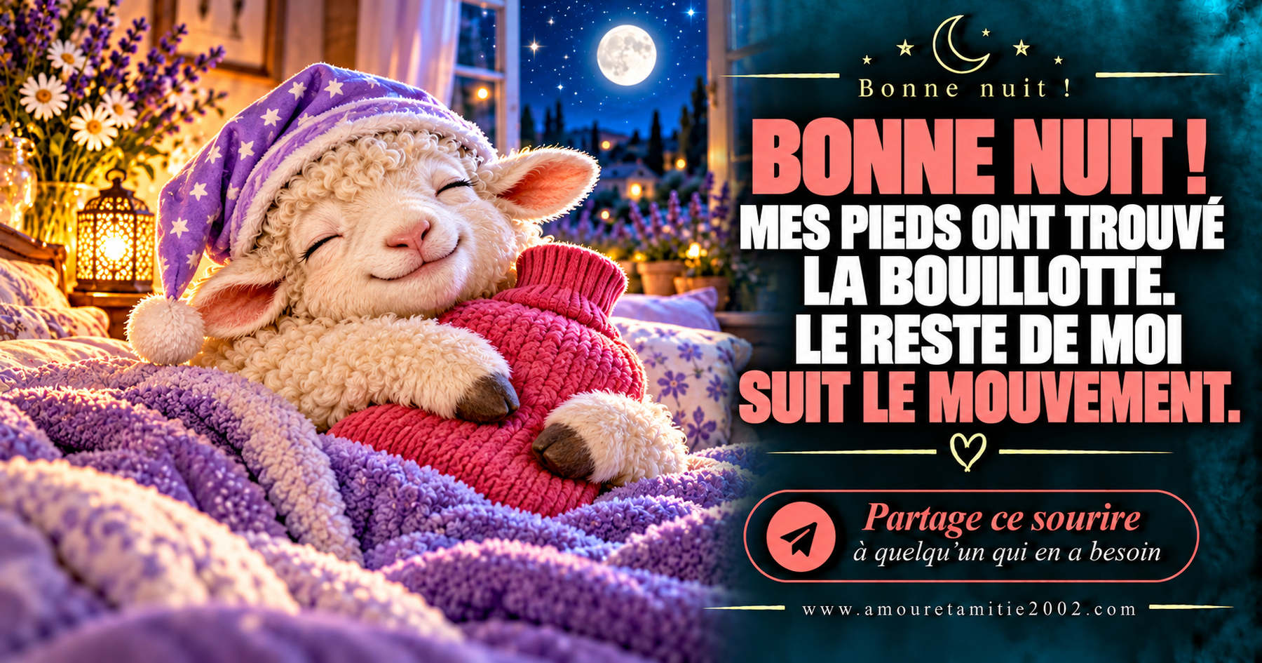 Bonne nuit ! Mes pieds ont trouvé la bouillotte. Le reste de moi suit le mouvement.