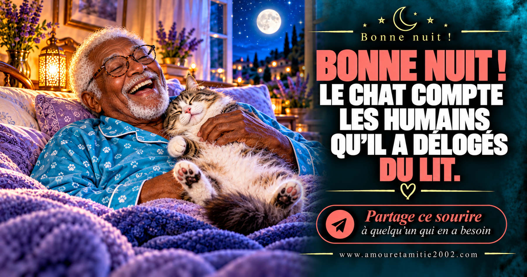 Bonne nuit ! Le chat compte les humains qu’il a délogés du lit.