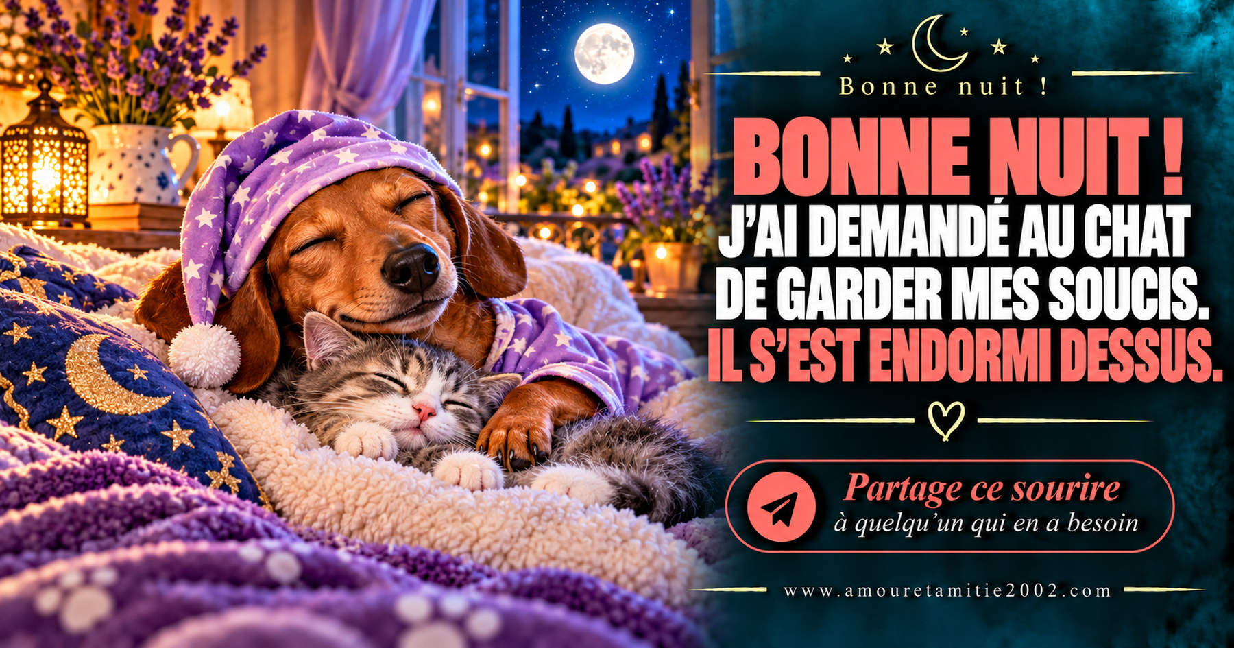 Bonne nuit ! J’ai demandé au chat de garder mes soucis. Il s’est endormi dessus.
