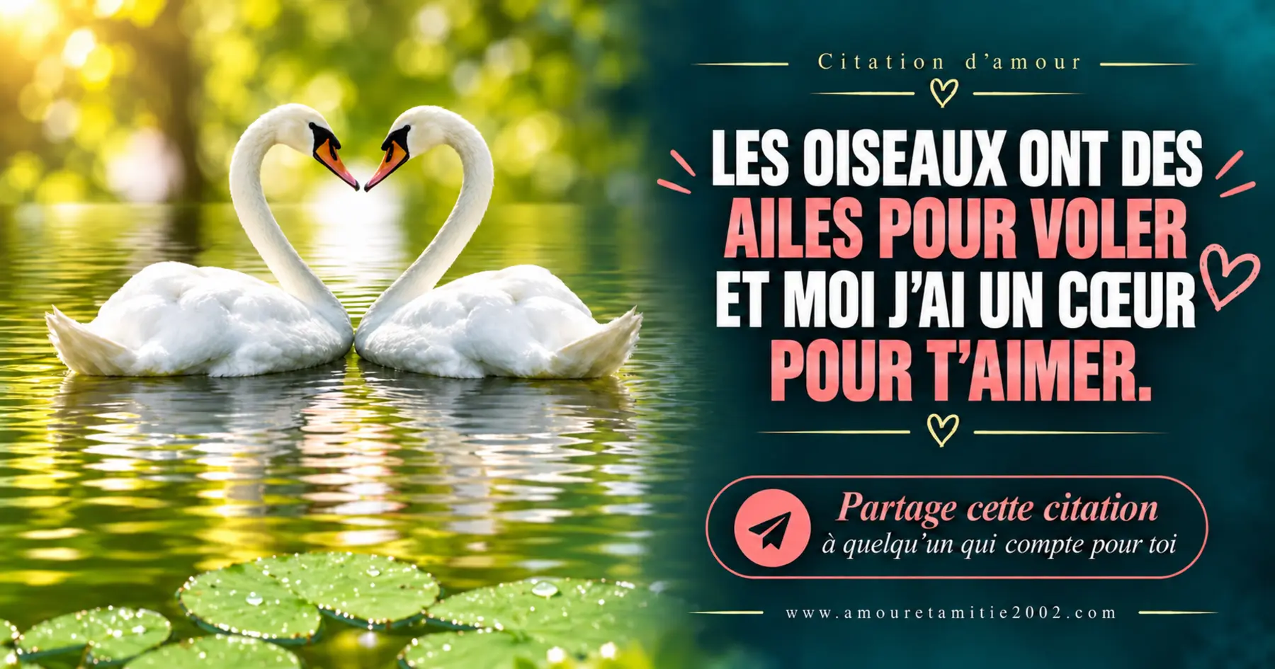 Les oiseaux ont des ailes pour voler et moi un cœur pour t’aimer