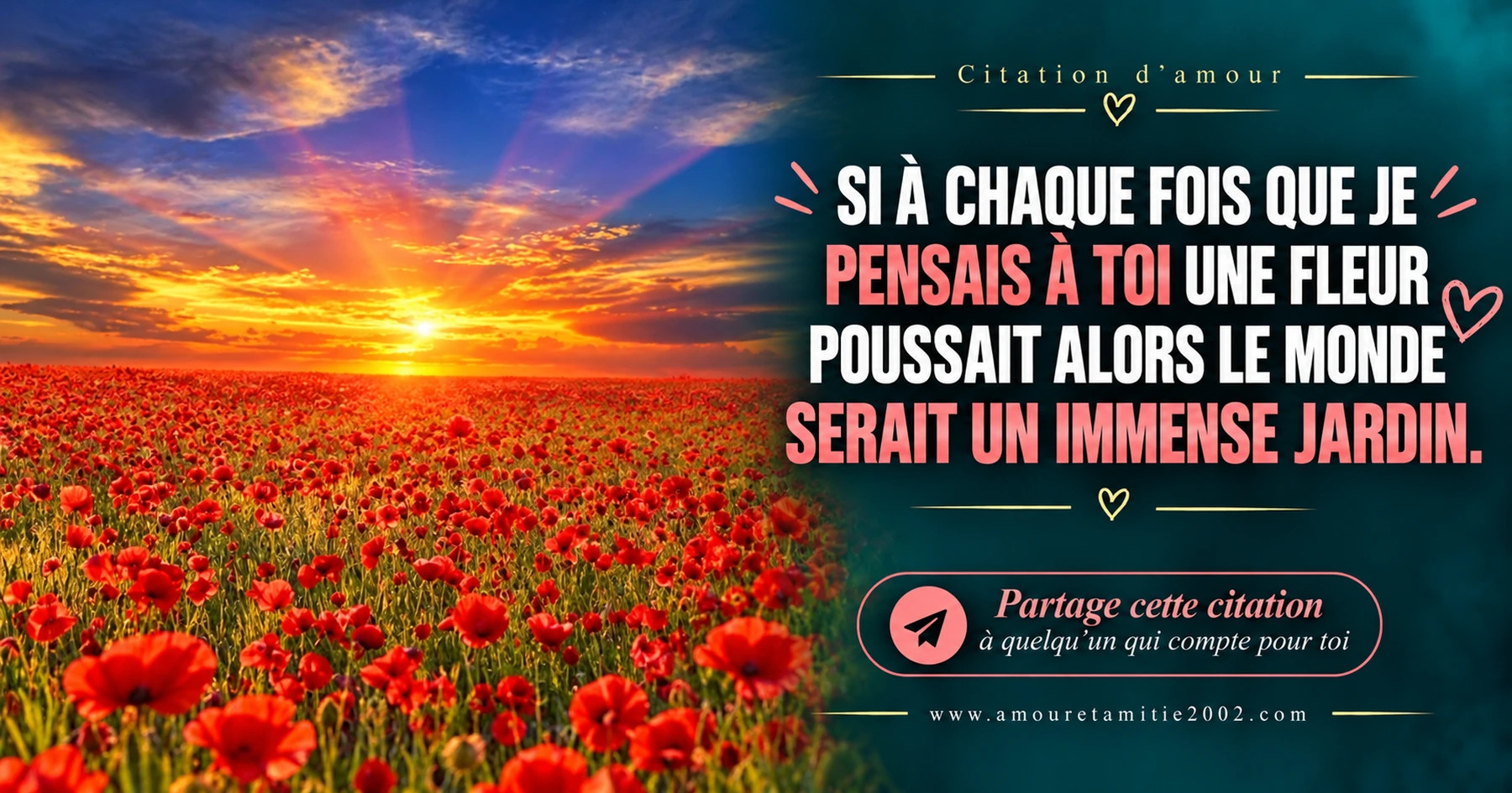 Un champ de coquelicots au coucher du soleil, avec le texte « Si à chaque fois que je pensais à toi une fleur poussait alors le monde serait un immense jardin. »