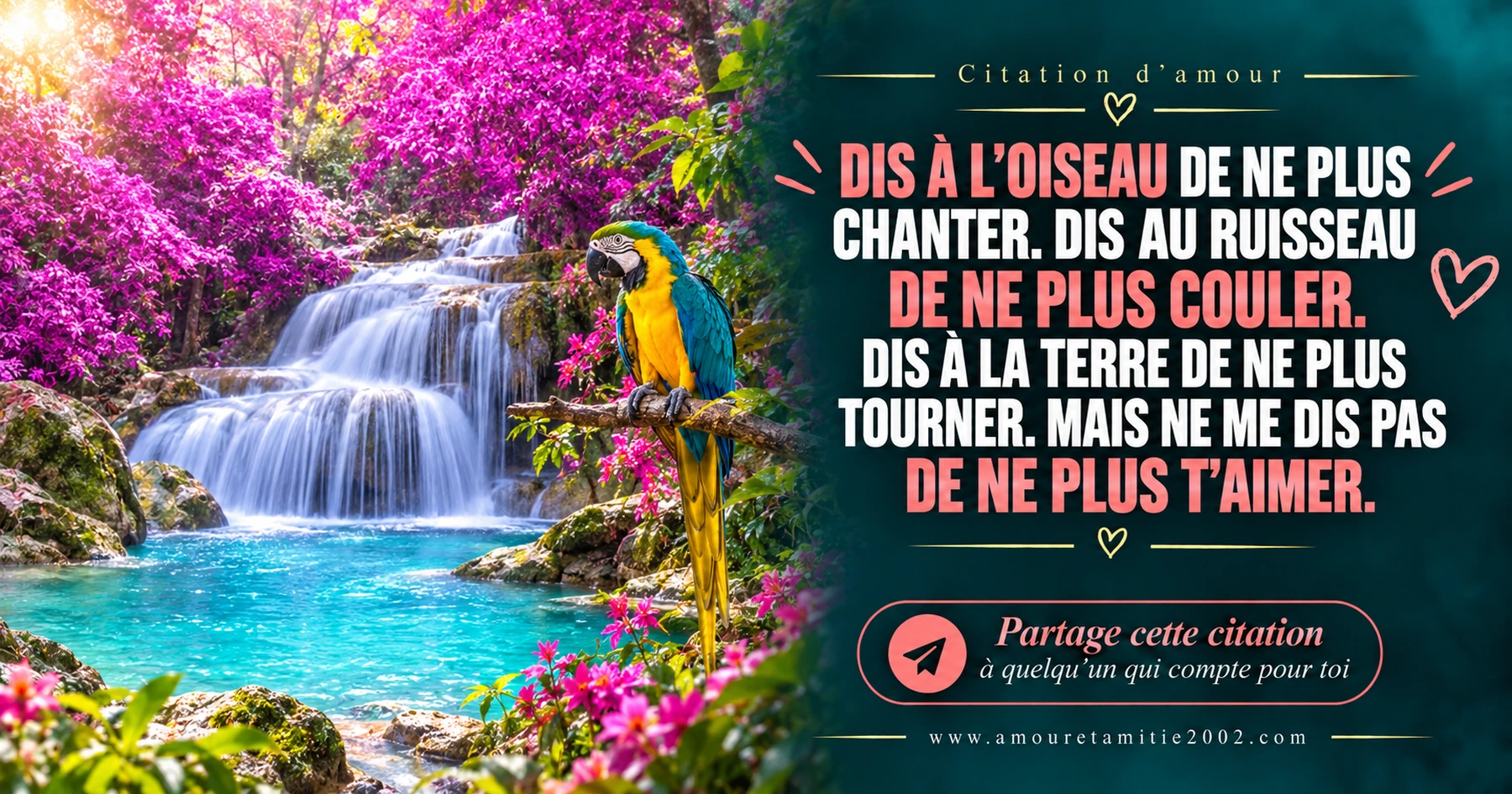 Ne me demande jamais de ne plus t’aimer