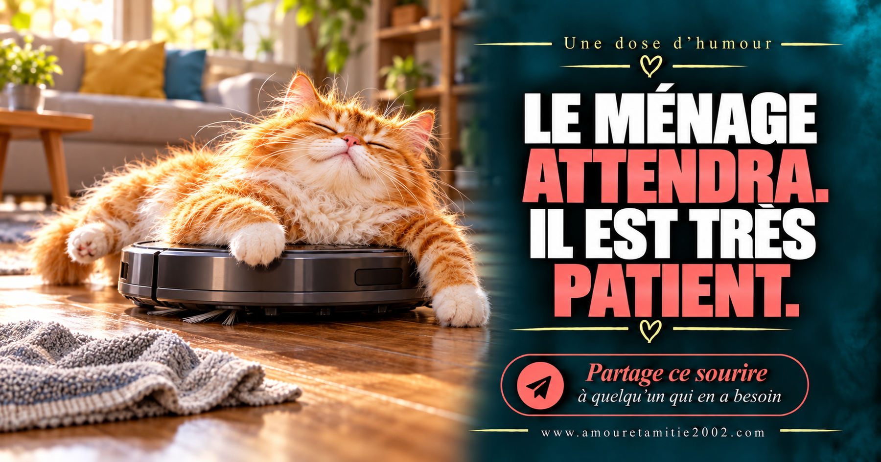 Le ménage attendra. Il est très patient.