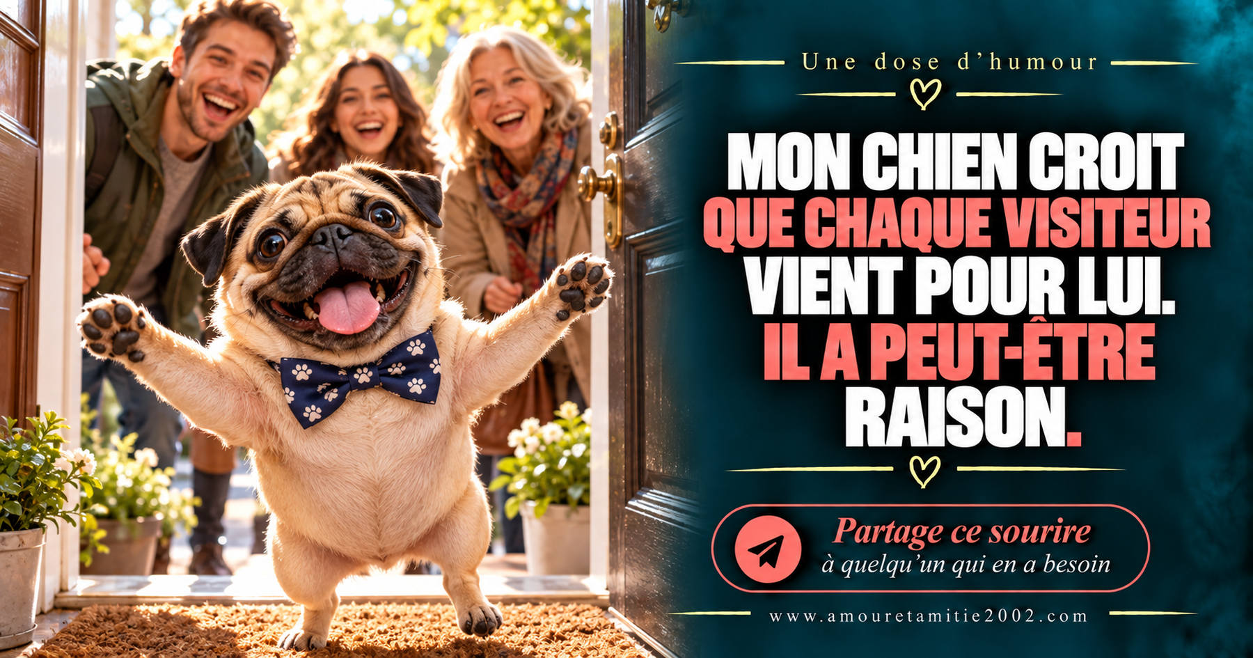 Mon chien croit que chaque visiteur vient pour lui. Il a peut-être raison.
