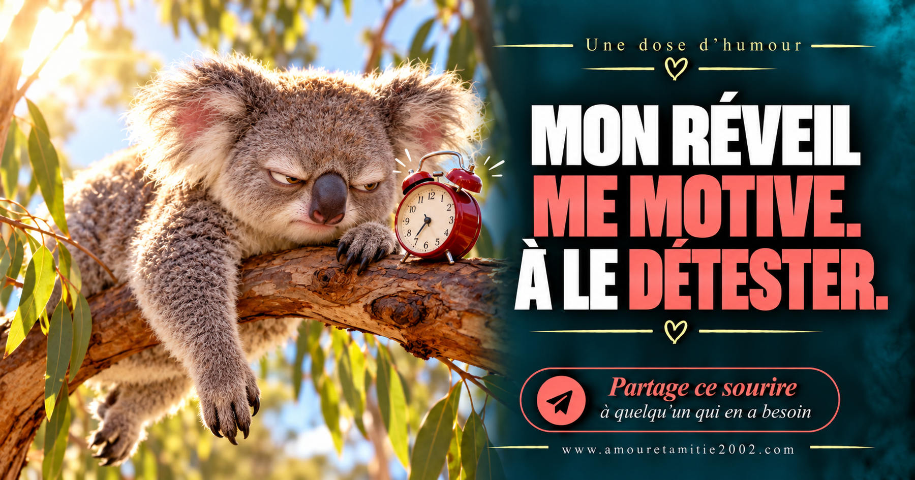 Mon réveil me motive. À le détester.
