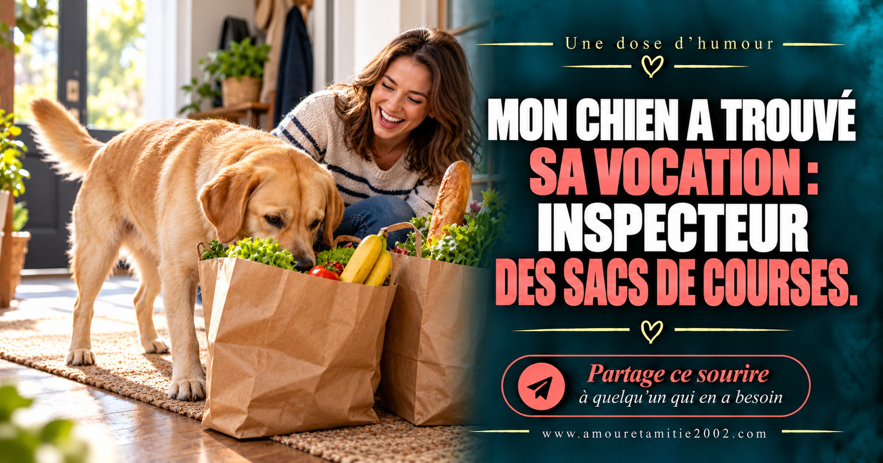 Mon chien a trouvé sa vocation : inspecteur des sacs de courses.