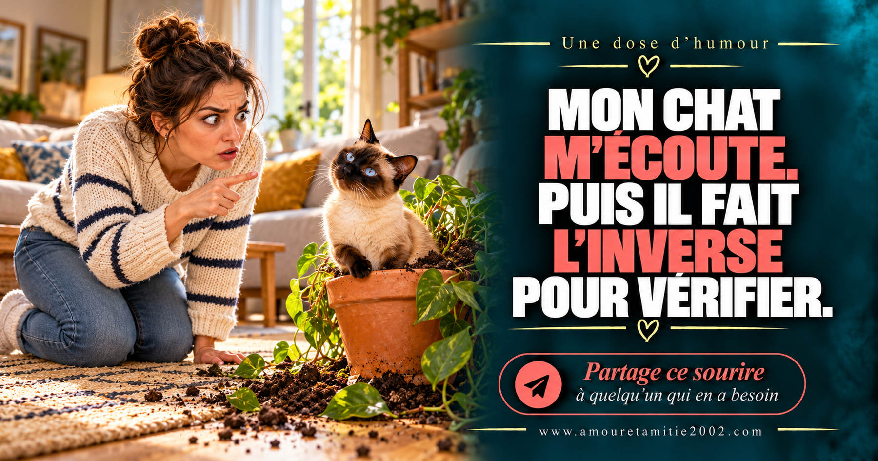 Mon chat m’écoute. Puis il fait l’inverse pour vérifier.