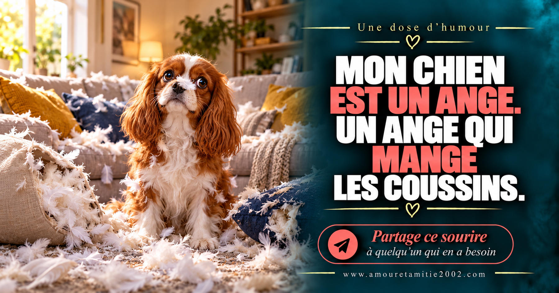 Mon chien est un ange. Un ange qui mange les coussins.