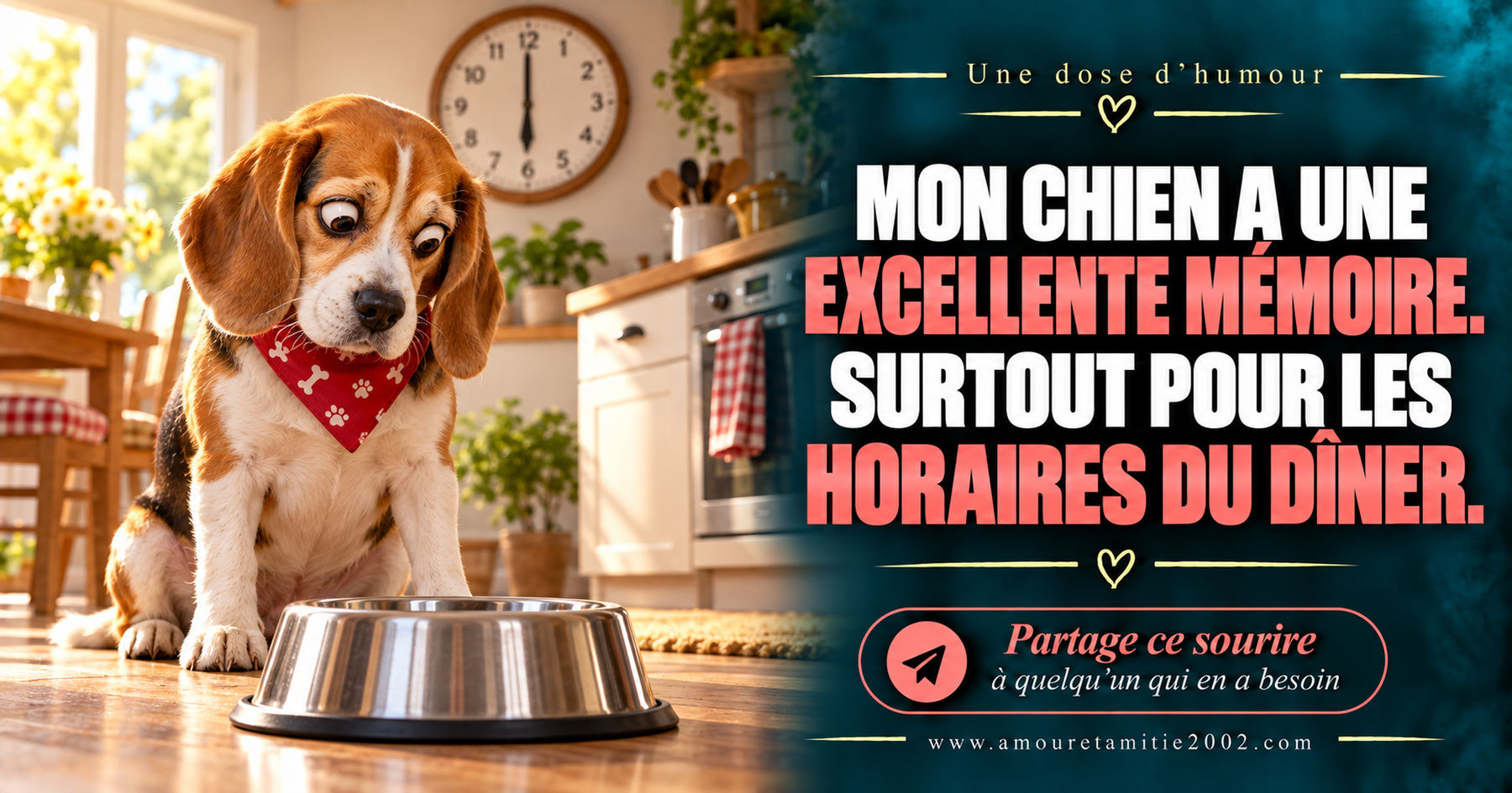Mon chien a une excellente mémoire. Surtout pour les horaires du dîner.