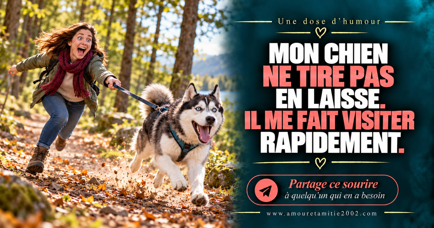 Mon chien ne tire pas en laisse. Il me fait visiter rapidement.