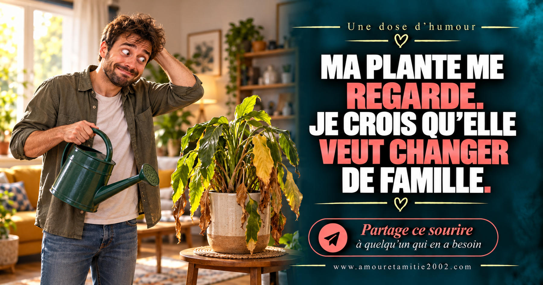 Ma plante me regarde. Je crois qu’elle veut changer de famille.