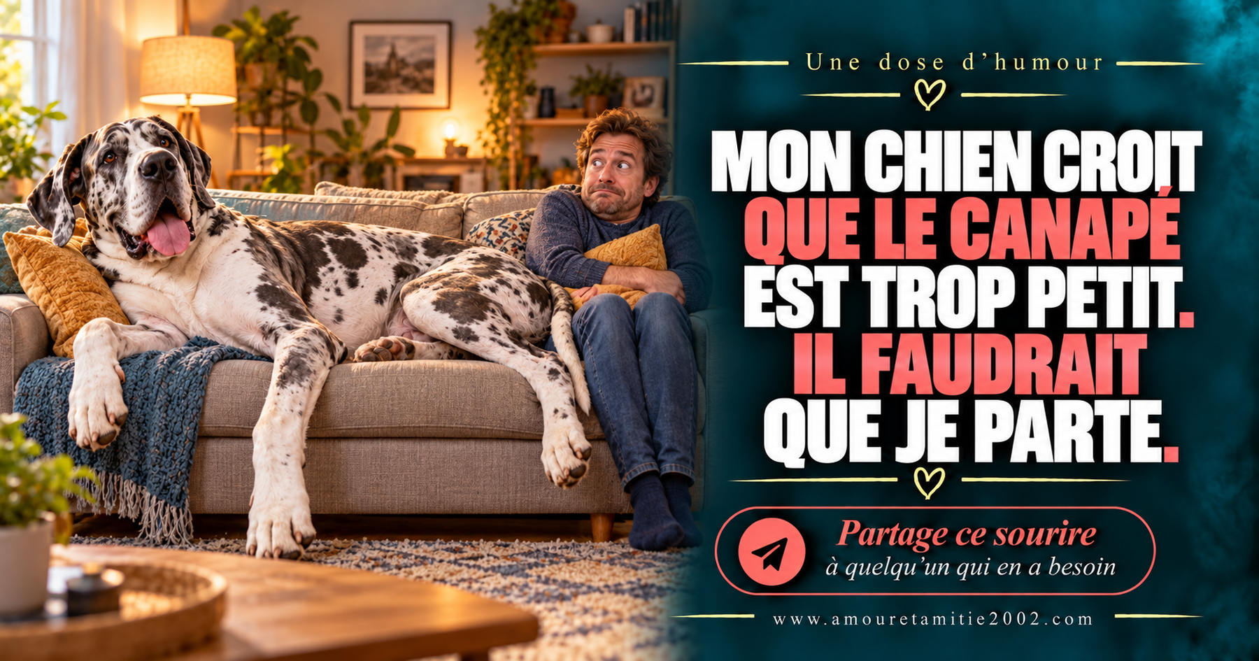 Mon chien croit que le canapé est trop petit. Il faudrait que je parte.
