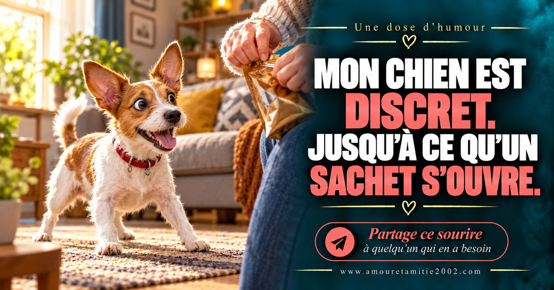 Mon chien est discret. Jusqu’à ce qu’un sachet s’ouvre.