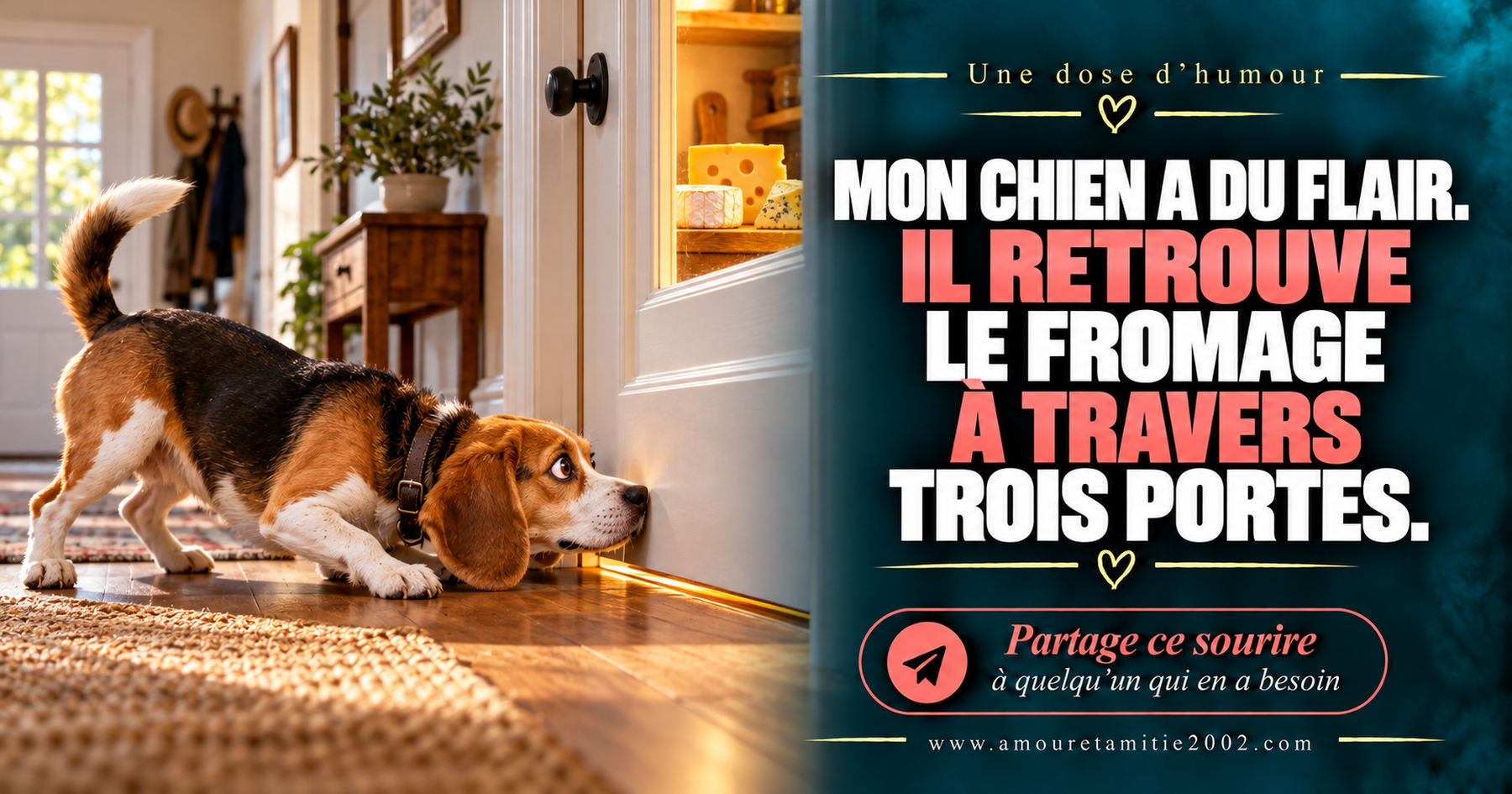 Mon chien a du flair. Il retrouve le fromage à travers trois portes.