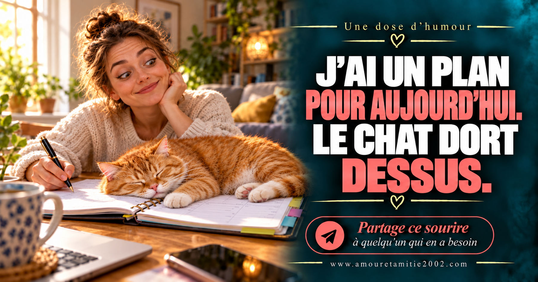 J’ai un plan pour aujourd’hui. Le chat dort dessus.