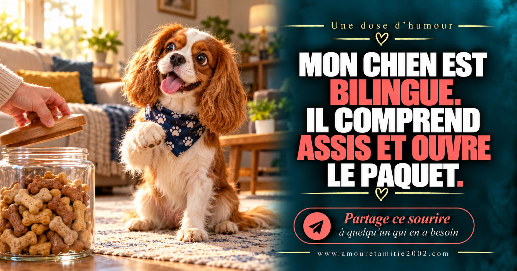 Mon chien est bilingue. Il comprend assis et ouvre le paquet.