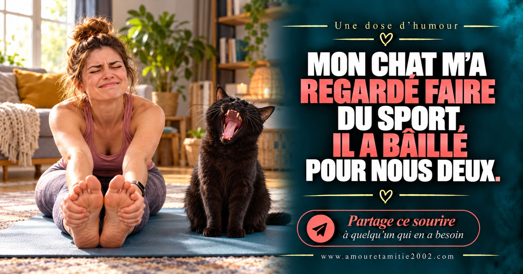 Mon chat m’a regardé faire du sport. Il a bâillé pour nous deux.