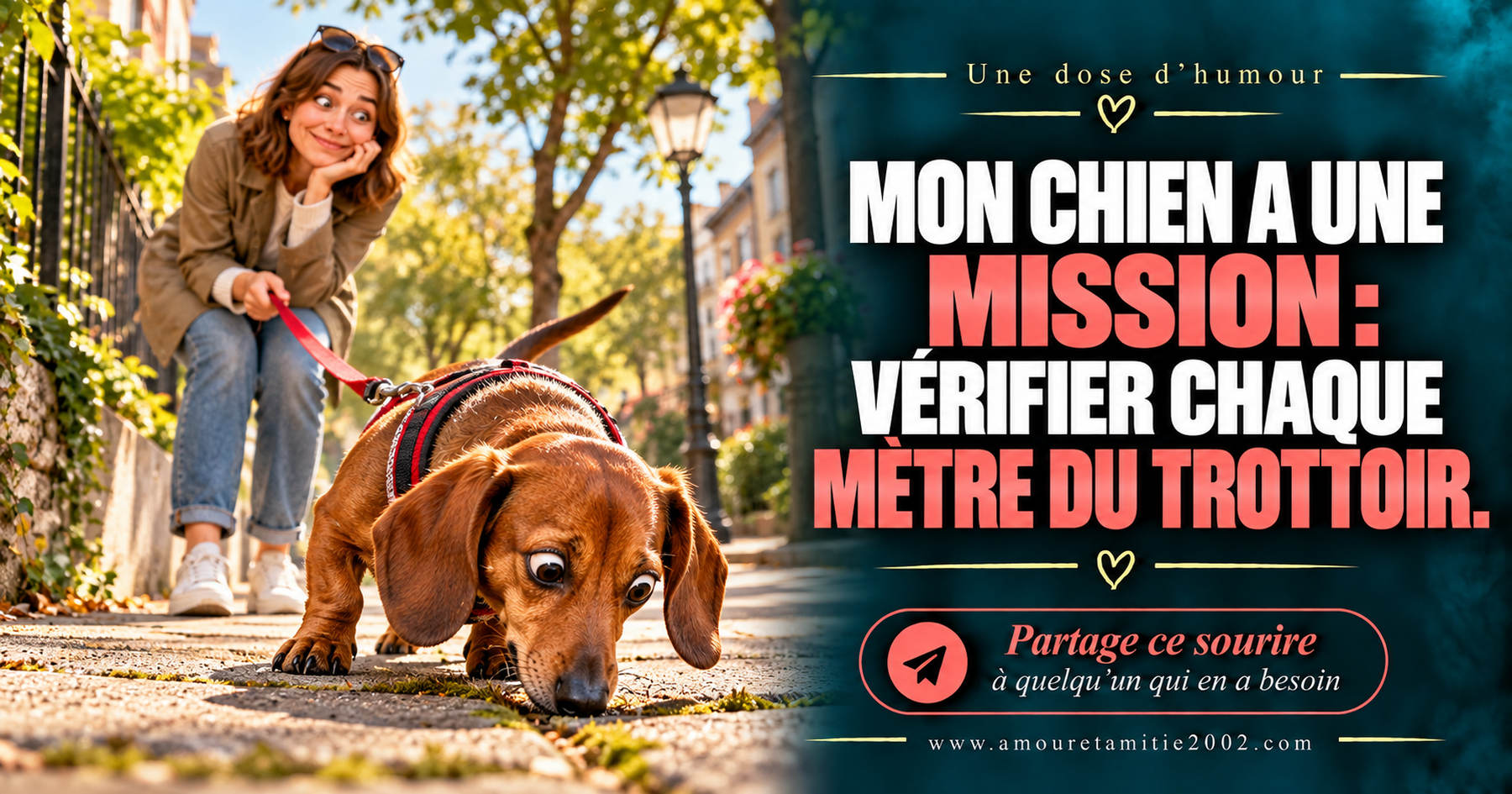 Mon chien a une mission : vérifier chaque mètre du trottoir.