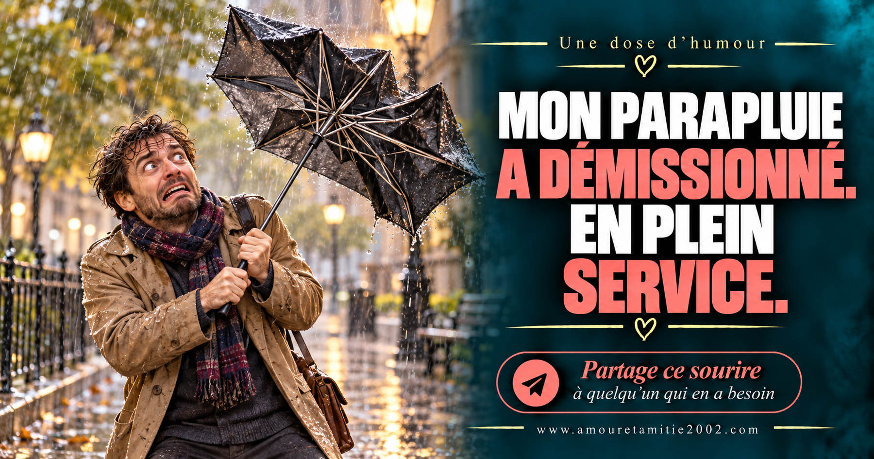 Mon parapluie a démissionné. En plein service.