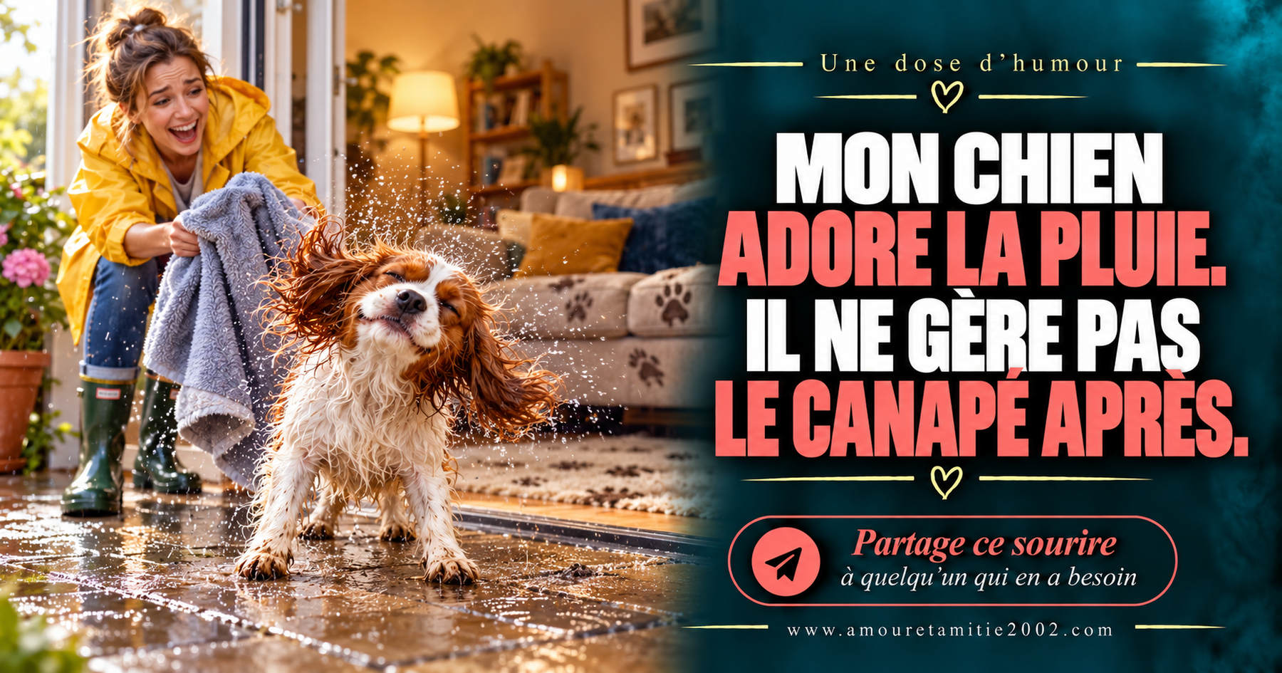 Mon chien adore la pluie. Il ne gère pas le canapé après.