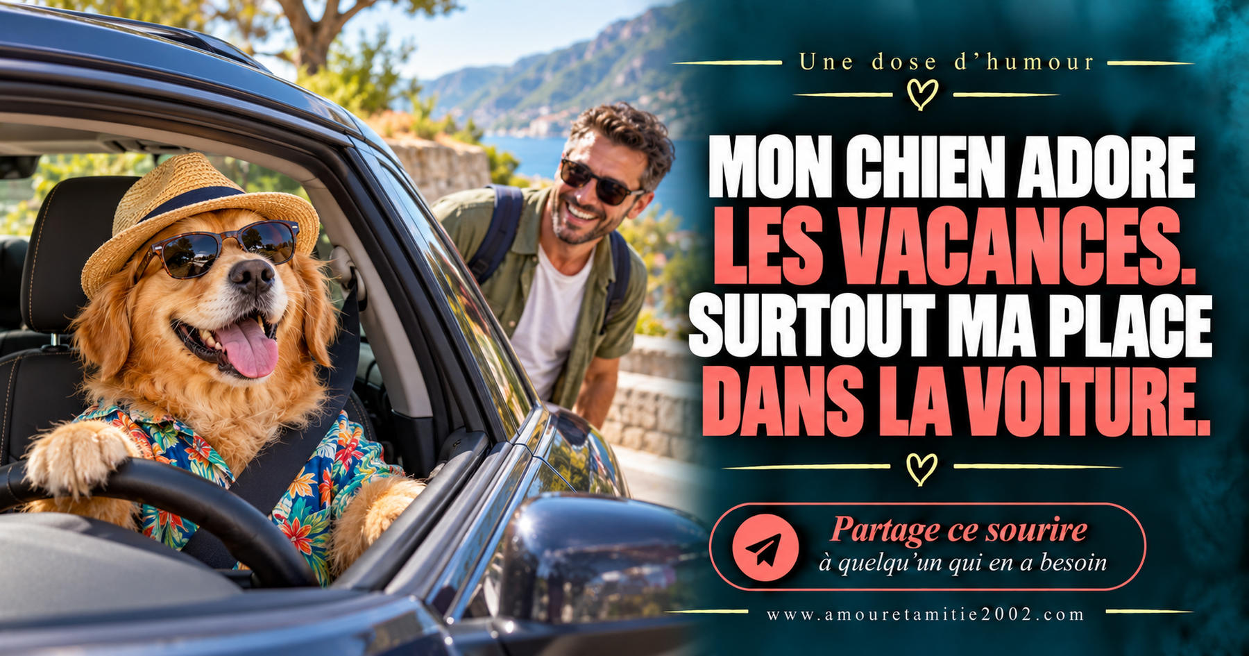 Mon chien adore les vacances. Surtout ma place dans la voiture.