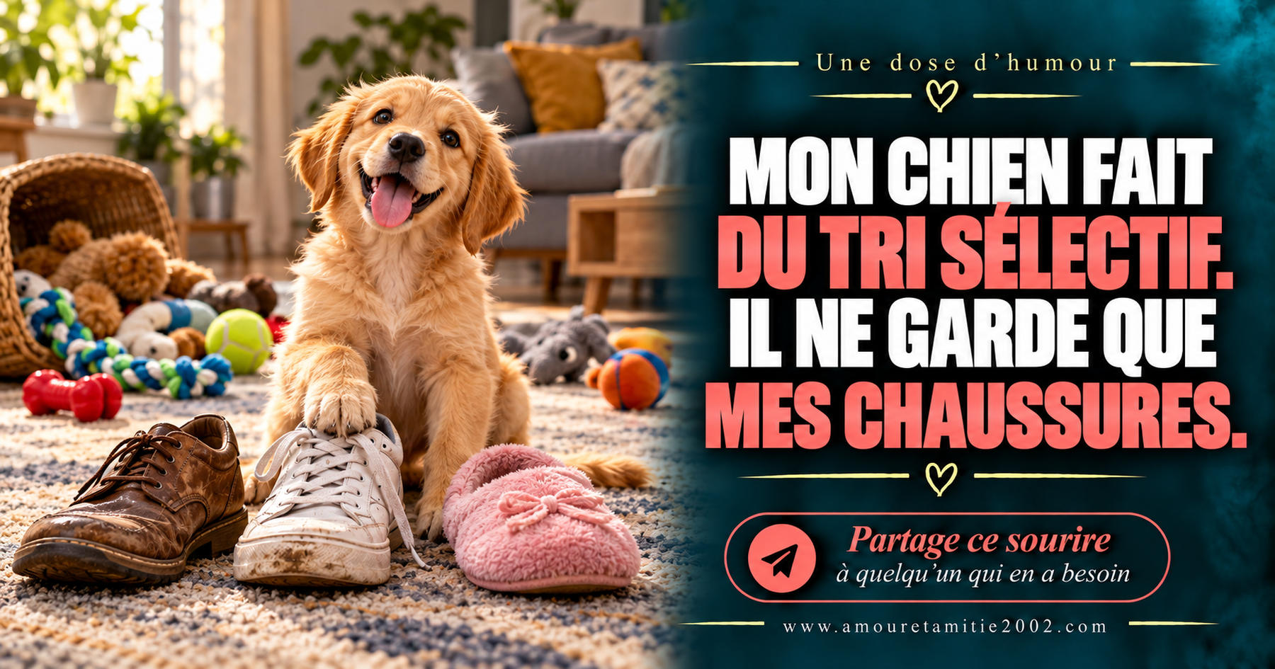 Mon chien fait du tri sélectif. Il ne garde que mes chaussures.