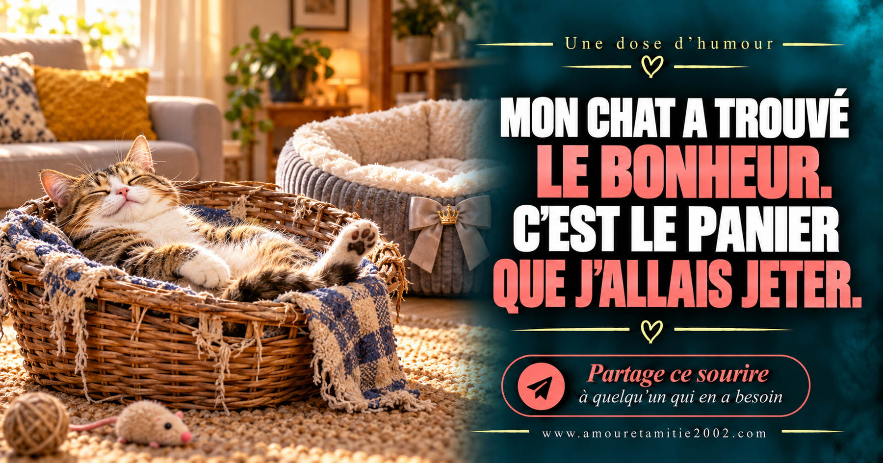 Mon chat a trouvé le bonheur. C’est le panier que j’allais jeter.