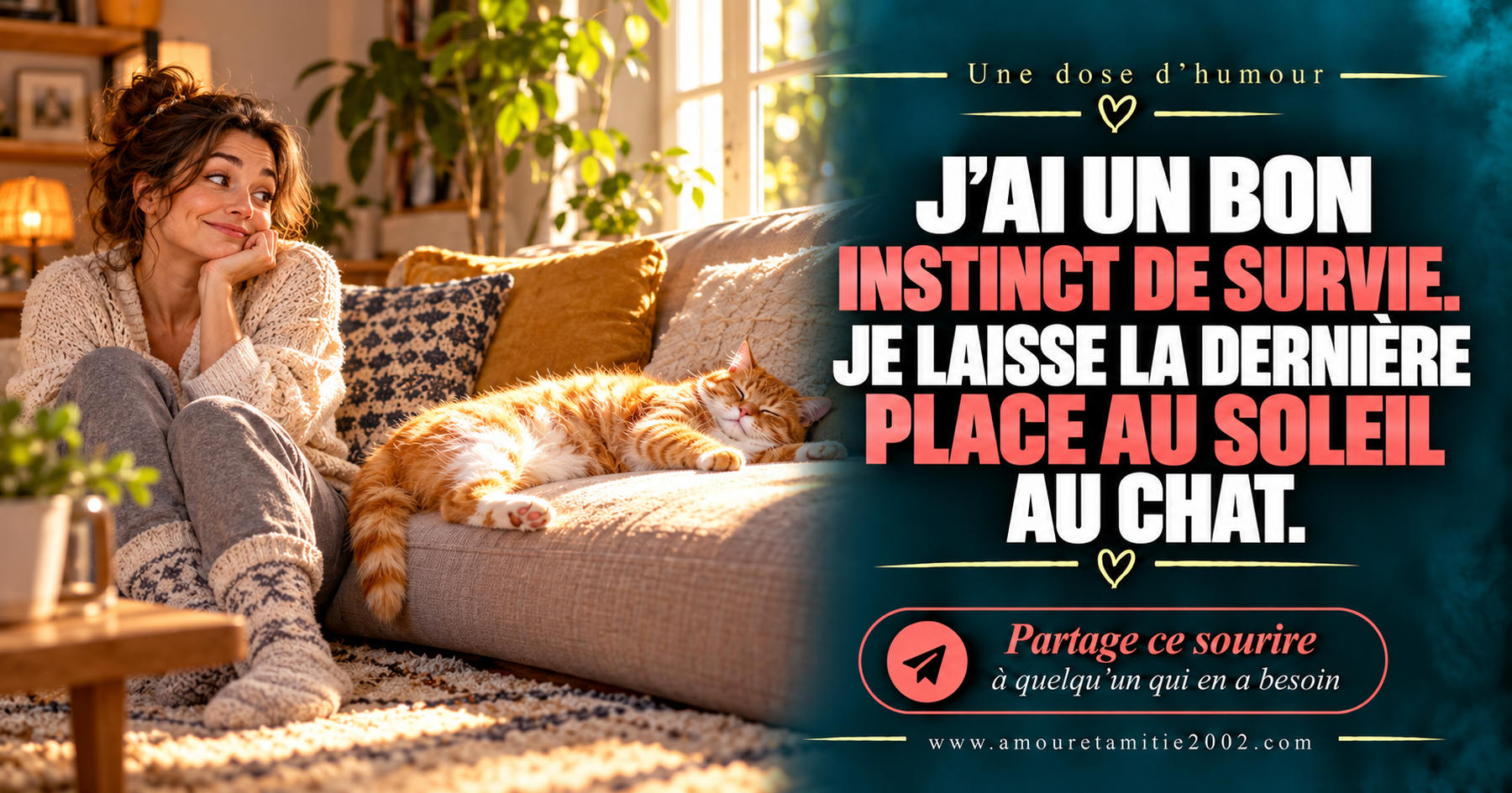 J’ai un bon instinct de survie. Je laisse la dernière place au soleil au chat.