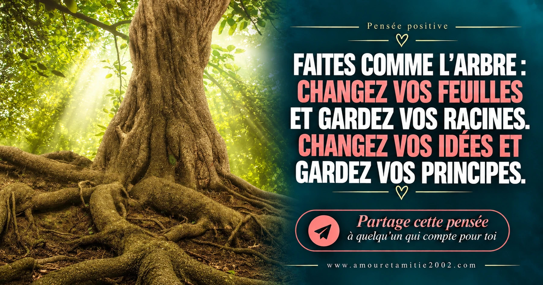 Les racines d’un grand arbre dans une forêt ensoleillée, avec le texte « Faites comme l'arbre : Changez vos feuilles et gardez vos racines. Changez vos idées et gardez vos principes. »