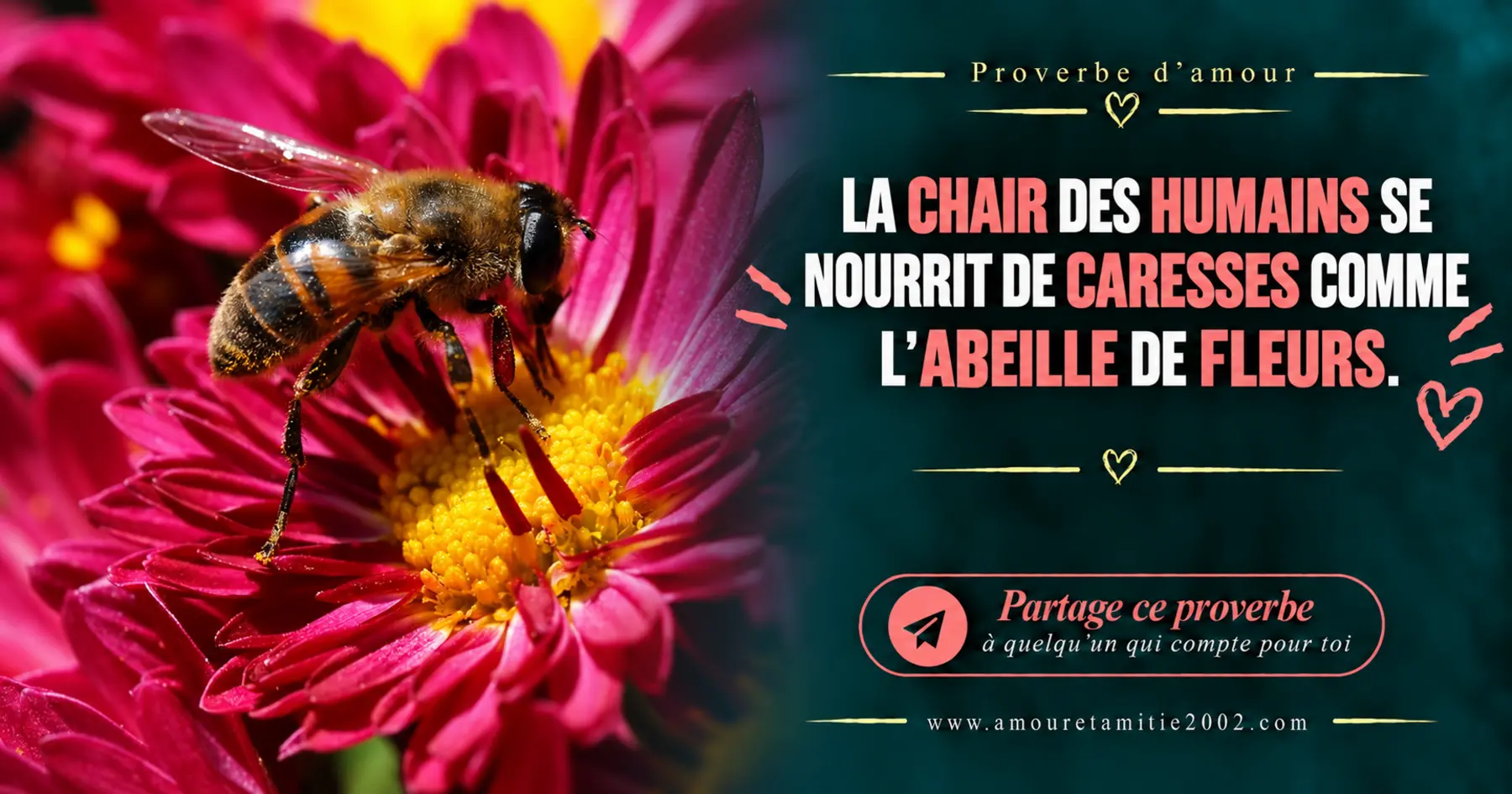 Proverbe d’amour illustré n° 48