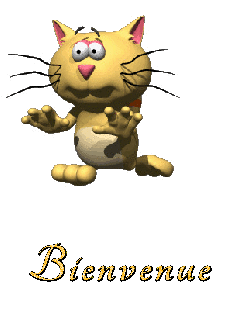 Prénom Bienvenue en signature animée