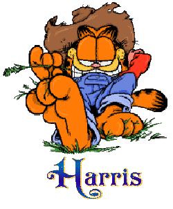 Prénom Harris en signature animée