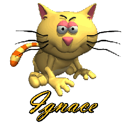 Prénom Ignace en signature animée