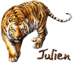 Prénom Julien en signature animée