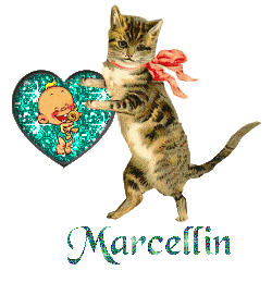 Prénom Marcellin en signature animée